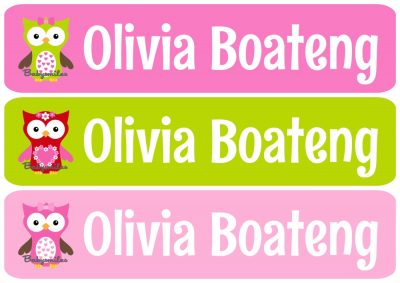 Adorable Owl Girl Iron On Clothing Labels