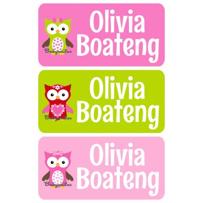 Adorable Owl Girl Clothing Tag Labels