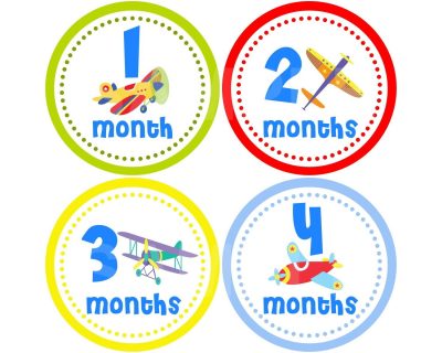 Max - Airplanes Flying High Monthly Photo Stickers