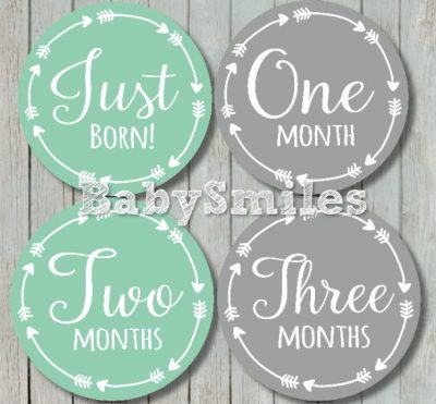 Anne - Mint and Grey Arrows