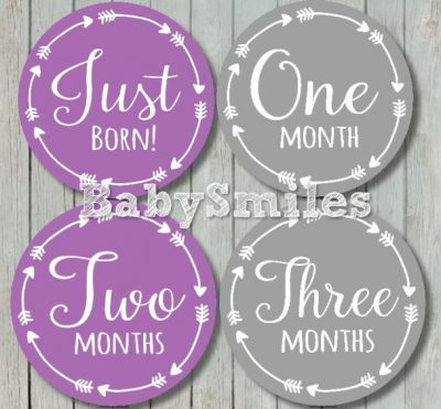 Harriet - Purple and Grey Arrows