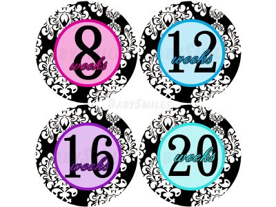 Cyndi - Multi Colored Damask