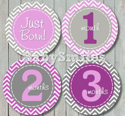 Abbey - Purple and Grey Chevron