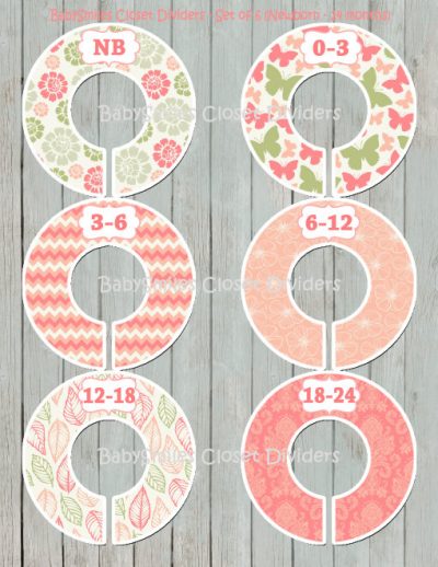 Custom Closet Dividers - Newborn to 24 Months - Beautiful Flowers Butterflies 134