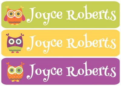 Funky Owl Iron On Clothing Labels