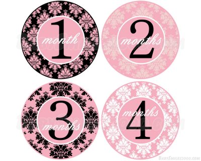 Katherine - Pink Damask