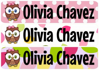 Olivia Owl Rectangle Personalized Name Labels