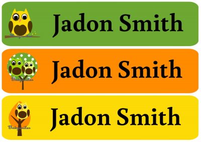Tree Owl Boy Rectangle Personalized Name Labels