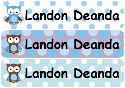 Polka Dot Owl Boy Rectangle Personalized Name Labels