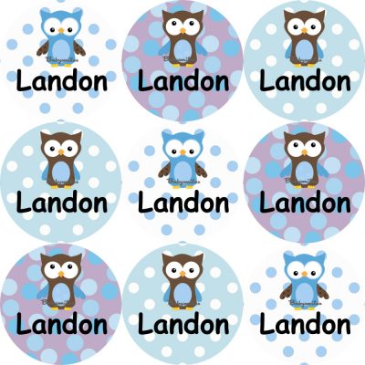 Polka Dot Owl Boy Shoe Label