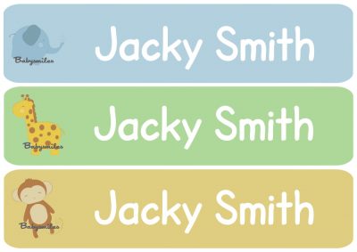 Safari Boy Rectangle Personalized Name Labels