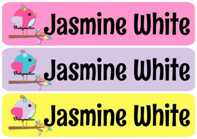 Super Cute Girly Birds Rectangle Personalized Name Labels