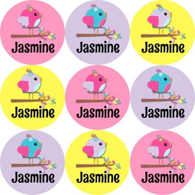 Super Cute Girly Birds Shoe Label