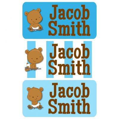 Teddy Bear Boy Clothing Tag Labels