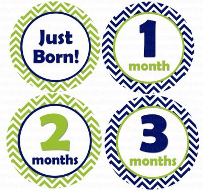 Leon - Navy Blue and Green