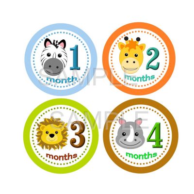 Baby Boy Milestone Stickers