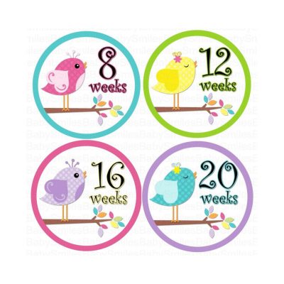 Maternity Belly Stickers