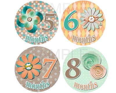 Alyssa - Cute and Sweet Flowers Monthly Photo Stickers