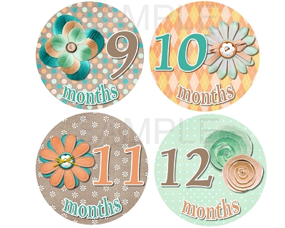 Alyssa - Cute and Sweet Flowers Monthly Photo Stickers