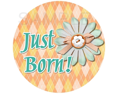 Alyssa - Cute and Sweet Flowers Monthly Photo Stickers