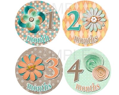 Alyssa - Cute and Sweet Flowers Monthly Photo Stickers