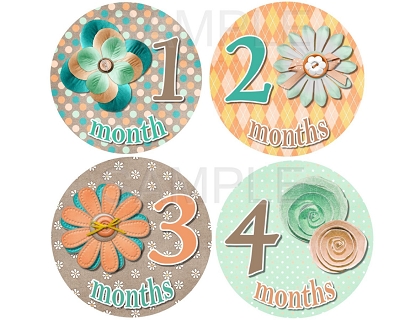 Alyssa - Cute and Sweet Flowers Monthly Photo Stickers