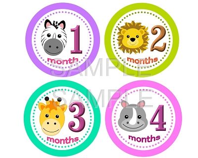 Alexis - Adorable Baby Girl Animal Safari Monthly Photo Stickers