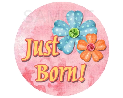 Addison - Beautiful Flowers and Butterflies Monthly Photo Stickers