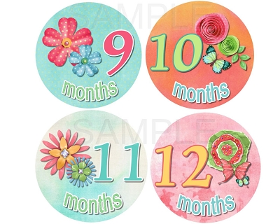 Addison - Beautiful Flowers and Butterflies Monthly Photo Stickers