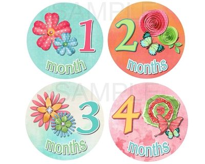 Addison - Beautiful Flowers and Butterflies Monthly Photo Stickers