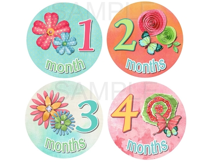 Addison - Beautiful Flowers and Butterflies Monthly Photo Stickers