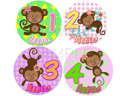 Amanda - Cutest Monkey Girl Monthly Photo Stickers
