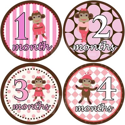 Amber - Sporty Sock Monkey Monthly Photo Stickers