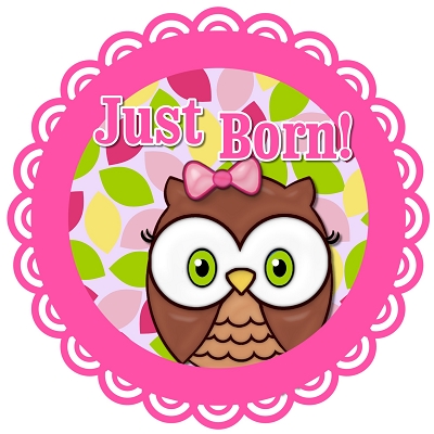 Amelia - Cute Cute Baby Owl Girl Monthly Photo Stickers