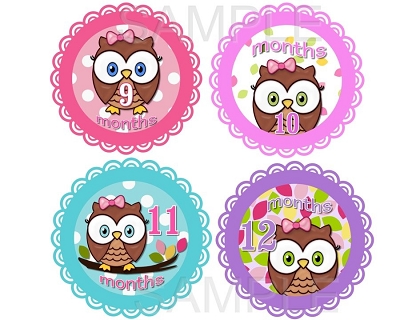 Amelia - Cute Cute Baby Owl Girl Monthly Photo Stickers