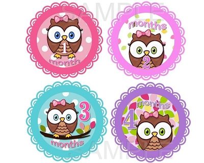 Amelia - Cute Cute Baby Owl Girl Monthly Photo Stickers