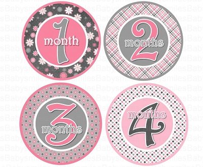 Amy - Sweet and Sassy Pink and Grey Patterns Monthly Photo Stickers