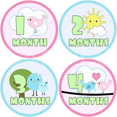 Angel - Sweet Nature Monthly Photo Stickers