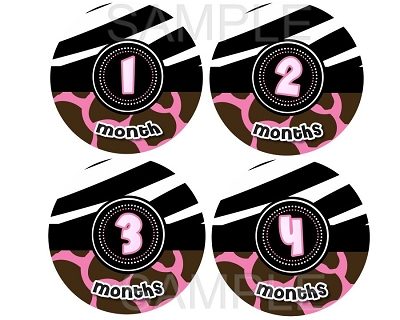 Ariel - Lil Hot Pink Zebra Monthly Photo Stickers