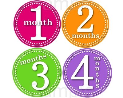 Betsy - Lil Sweet Primary Colors Monthly Photo Stickers