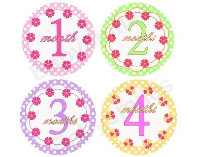 Camila - Pretty Flowers Monthly Photo Stickers