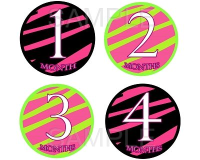 Cecily - Pink Zebra Patterns Monthly Photo Stickers