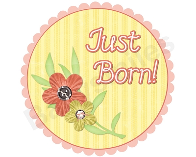 Christy - Sweet Peachy Flowers Monthly Photo Stickers