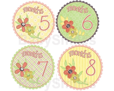 Christy - Sweet Peachy Flowers Monthly Photo Stickers