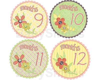 Christy - Sweet Peachy Flowers Monthly Photo Stickers