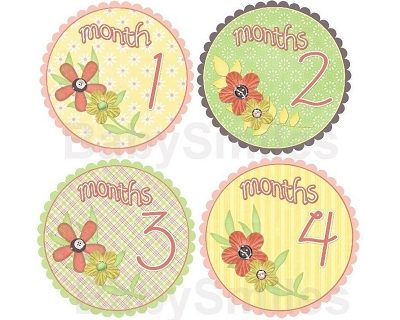 Christy - Sweet Peachy Flowers Monthly Photo Stickers
