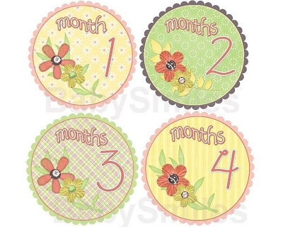 Christy - Sweet Peachy Flowers Monthly Photo Stickers
