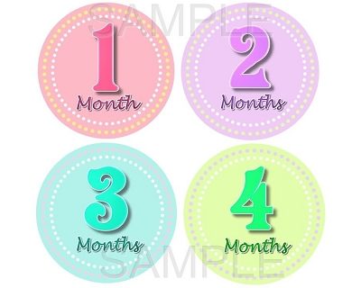 Daisy - Sweet Baby Girl Monthly Photo Stickers