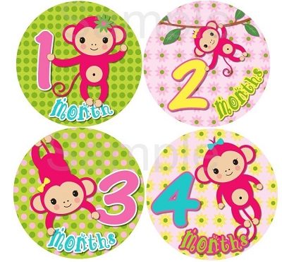 Dorothy - Lil Monkey Girl Monthly Photo Stickers