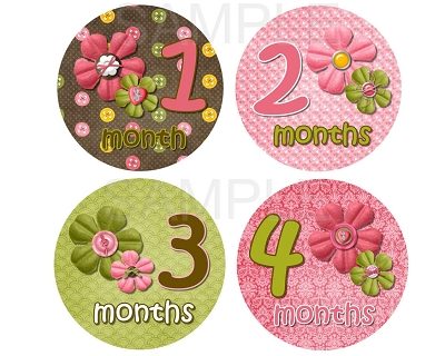 Elizabeth - Cute as a Button Monthly Photo Stickers